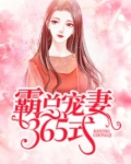 霸道总裁宠妻365天