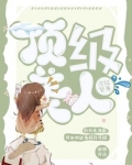 顶级美人，次级替身