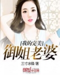 我的完美媳妇