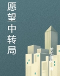 愿望居中介