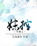 穿越之妹控