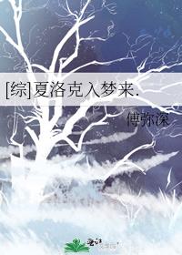 夏洛克穿越言情