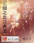 三国之北汉燕王3Q读书