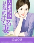 大婚晚辰总裁小妻子