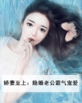 隐婚娇妻老公心间宠
