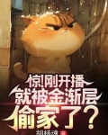 金渐层逆袭