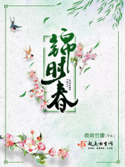 锦时春金骏眉
