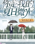 你是我的夏日微光