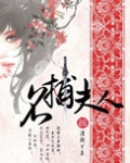 名捕夫人