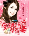 通缉神秘小逃妻