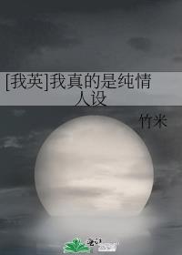 我的英雄