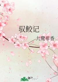 驭鲛记电视剧免费观看全集