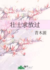 壮士求放过
