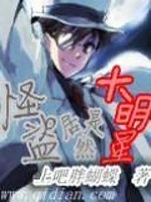 韩娱里的怪盗