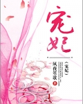 宠妃(复仇文)
