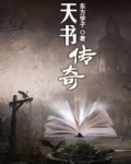 天书传奇