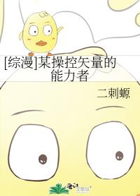 操纵矢量是什么意思