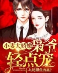 枭爷轻点宠,小妻太娇弱百度云下载