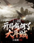 三国：开局截胡了大耳贼