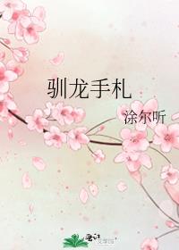 驯龙手札现在观看