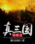 历史之真三国