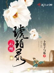 云岭琥珀等为散