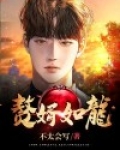 赘婿如龙