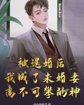 被退婚后,我成了未婚妻高不可攀的神!