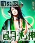 风月大帝叶子龙小说