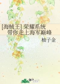 [海贼王] 荣耀系统带你走上海军巅峰