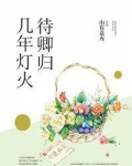 几年灯火待卿归
