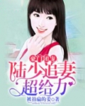 豪门霸宠陆少闪婚小甜妻