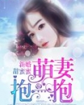 新婚甜蜜蜜:萌妻,抱一抱