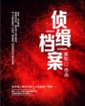 侦缉档案