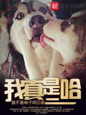 二哈说我的妈呀