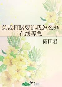 总裁打赌要追我怎么办在线等急