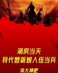 替新郎入洞房小说