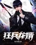 狂兵龙婿