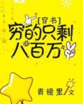 穷的只剩八百万