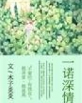一诺情深小说