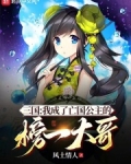 三国：我成了亡国公主的榜一大哥