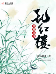 穿越红楼贾母大丫鬟的小说