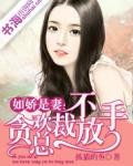 如娇似妻全文阅读阅读