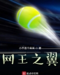 网王之雨