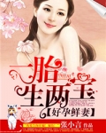 好孕鲜妻,一胎生两宝