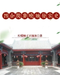 娄晓娥带儿子回四合院